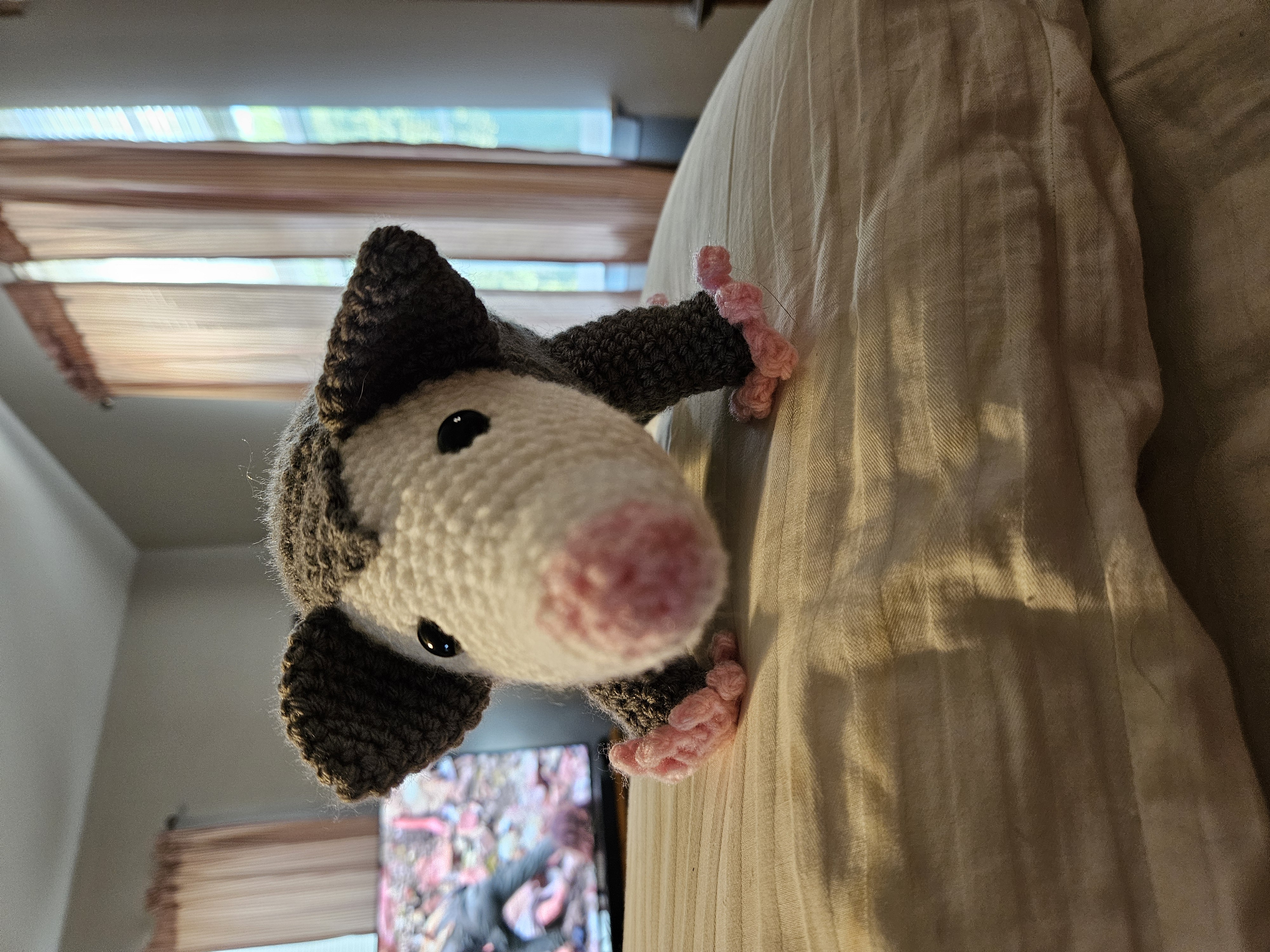Baby Opossum